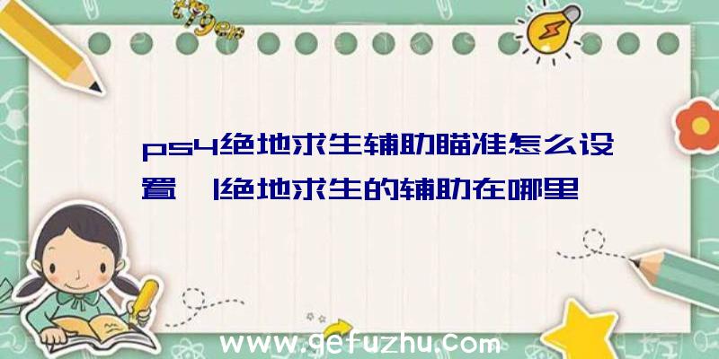 「ps4绝地求生辅助瞄准怎么设置」|绝地求生的辅助在哪里